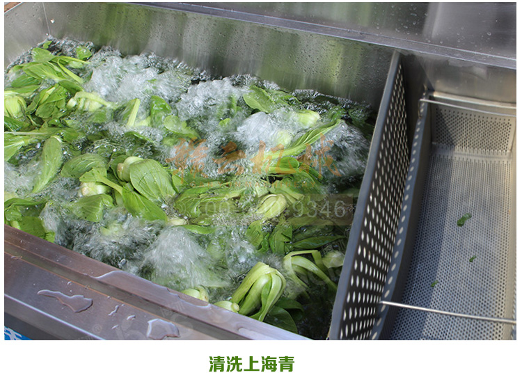 食品消毒洗菜機(jī)細(xì)節(jié)