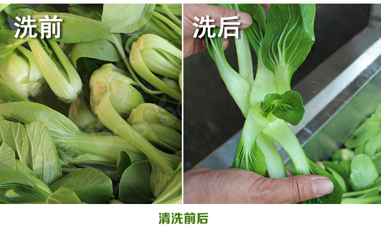 食品消毒洗菜機(jī)細(xì)節(jié)